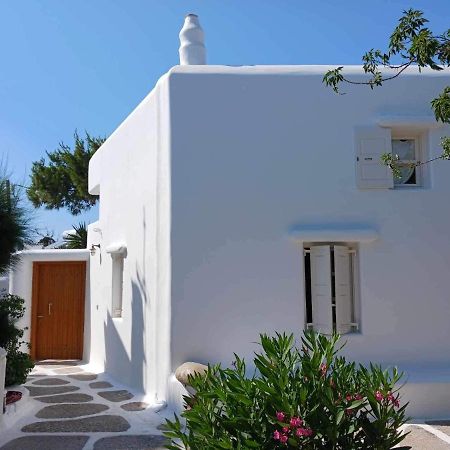 Vila Cassaris Mykonos Drafaki Exteriér fotografie