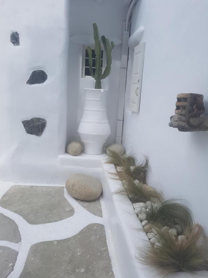 Vila Cassaris Mykonos Drafaki Exteriér fotografie