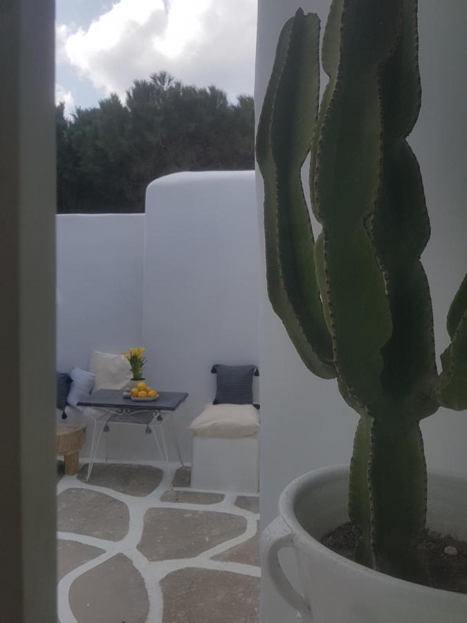 Vila Cassaris Mykonos Drafaki Exteriér fotografie