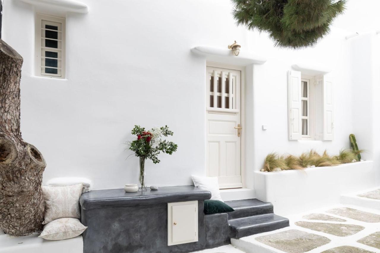 Vila Cassaris Mykonos Drafaki Exteriér fotografie