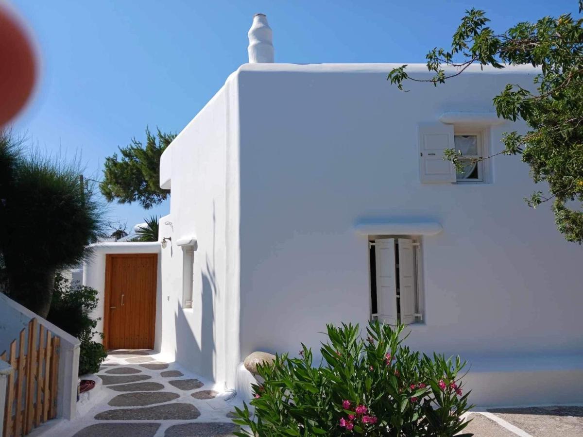 Vila Cassaris Mykonos Drafaki Exteriér fotografie
