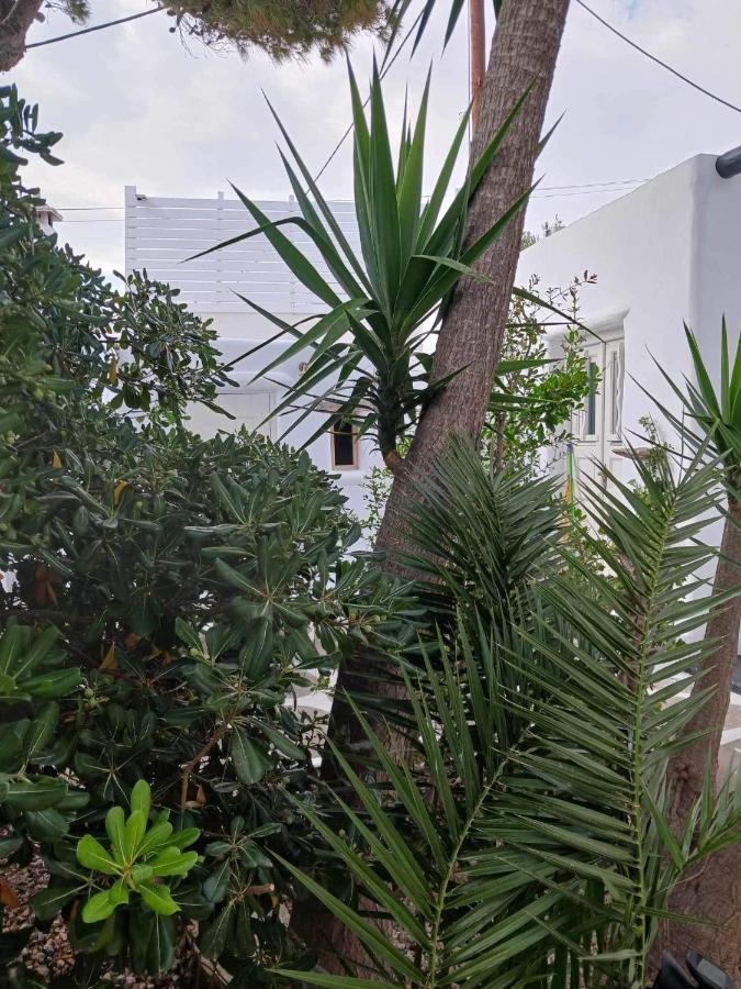 Vila Cassaris Mykonos Drafaki Exteriér fotografie
