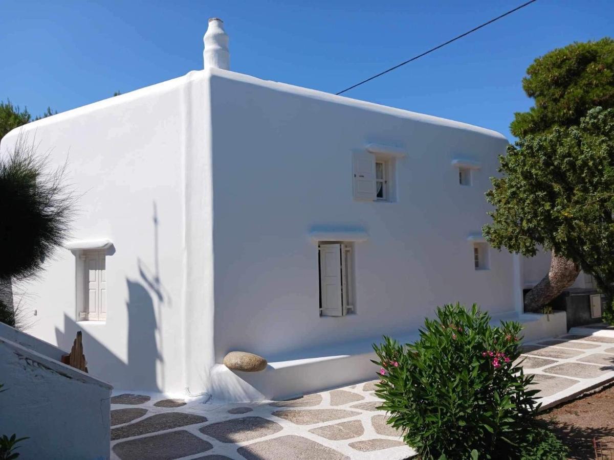 Vila Cassaris Mykonos Drafaki Exteriér fotografie