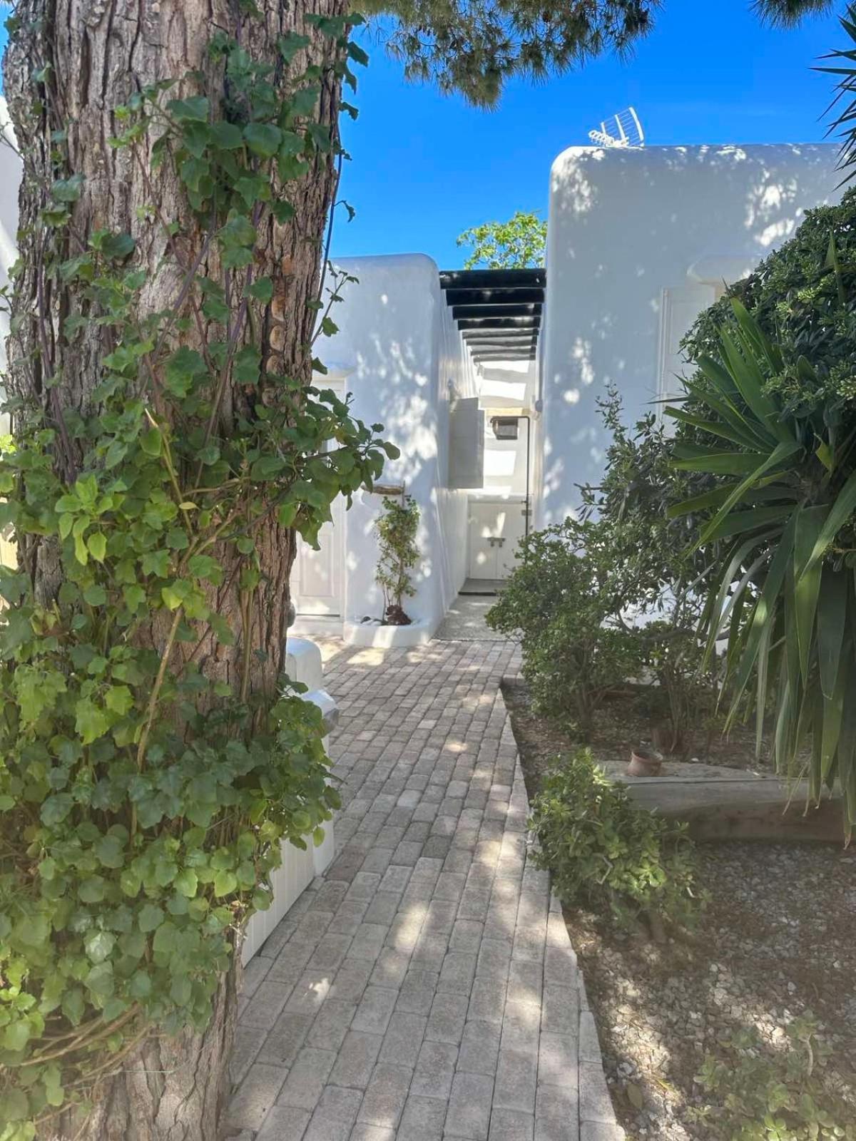 Vila Cassaris Mykonos Drafaki Exteriér fotografie