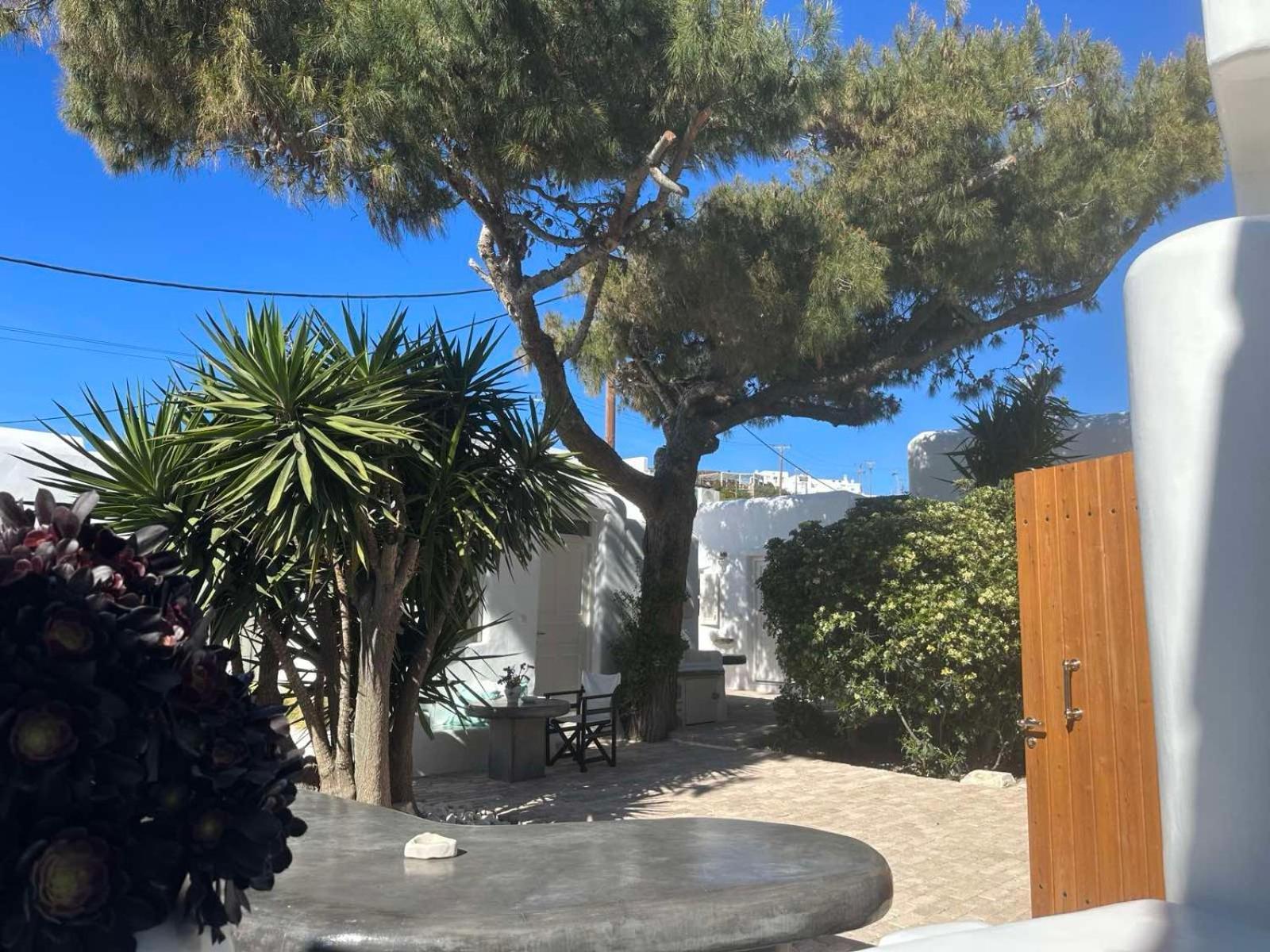 Vila Cassaris Mykonos Drafaki Exteriér fotografie